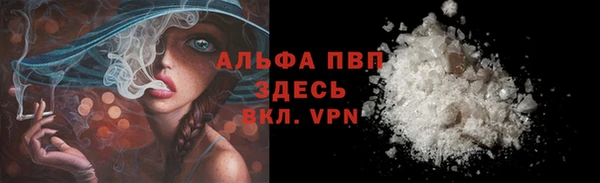 спиды Ладушкин