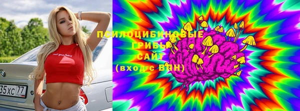 первитин Кукмор
