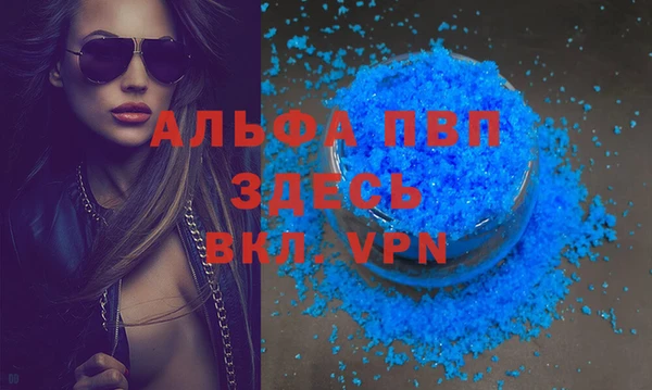 спиды Ладушкин