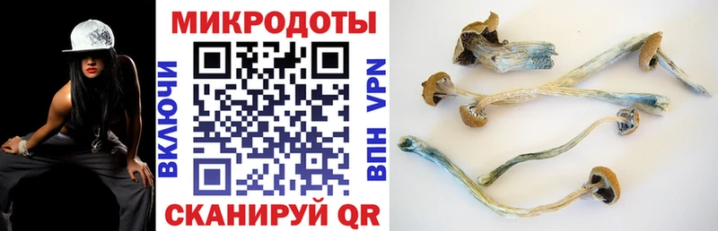 Псилоцибиновые грибы мухоморы  Сольцы 